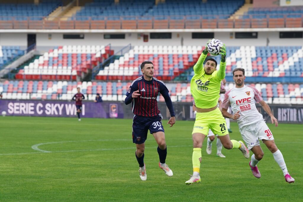 Mazzocchi, Vannucchi e Ricci