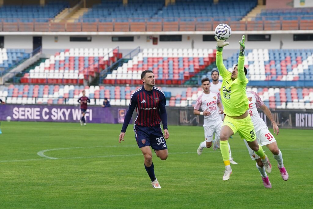 Mazzocchi e Vannucchi